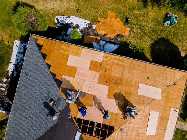 Roof Gutter Cleaning in Cleveland, TX